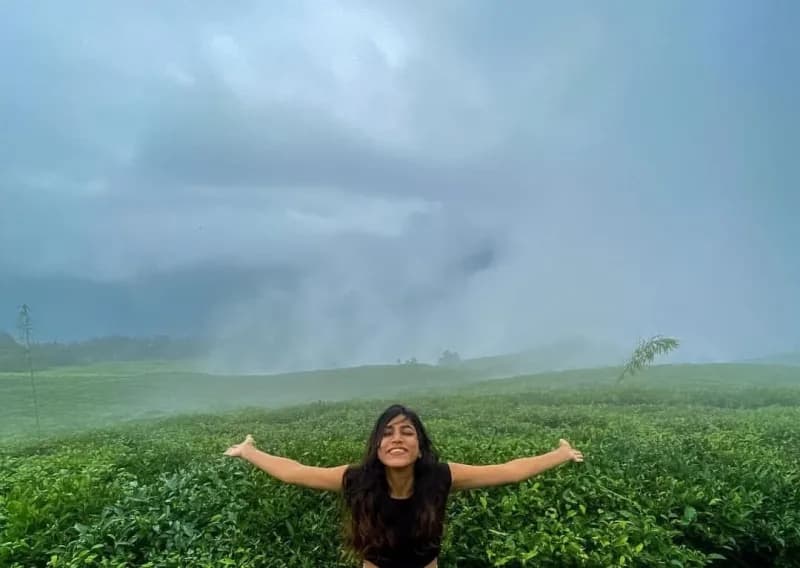 Temi tea garden @temi @izifiso