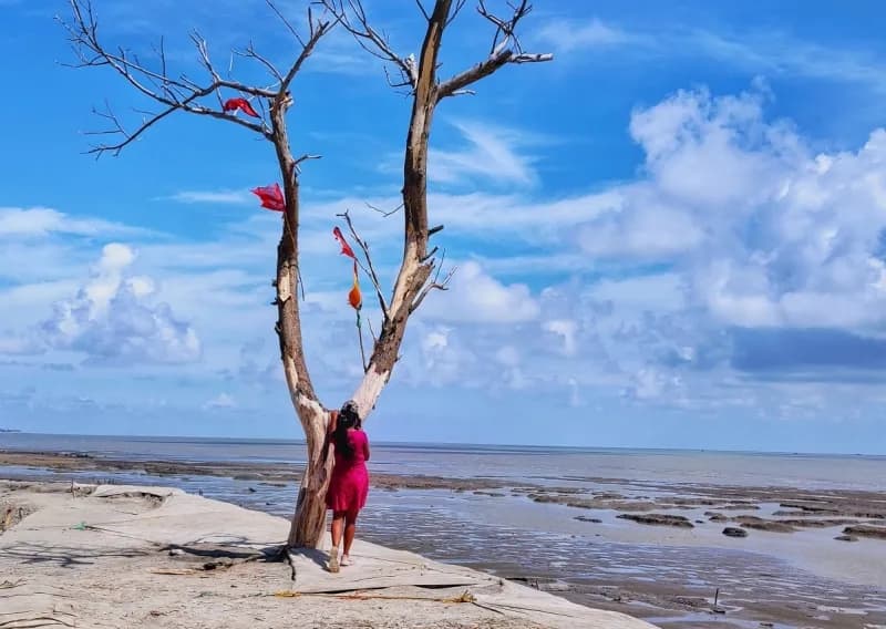 Experience Mousuni Island from your camping ground and eco stay 
