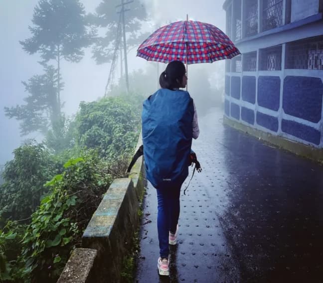 Experience Dowhill 
