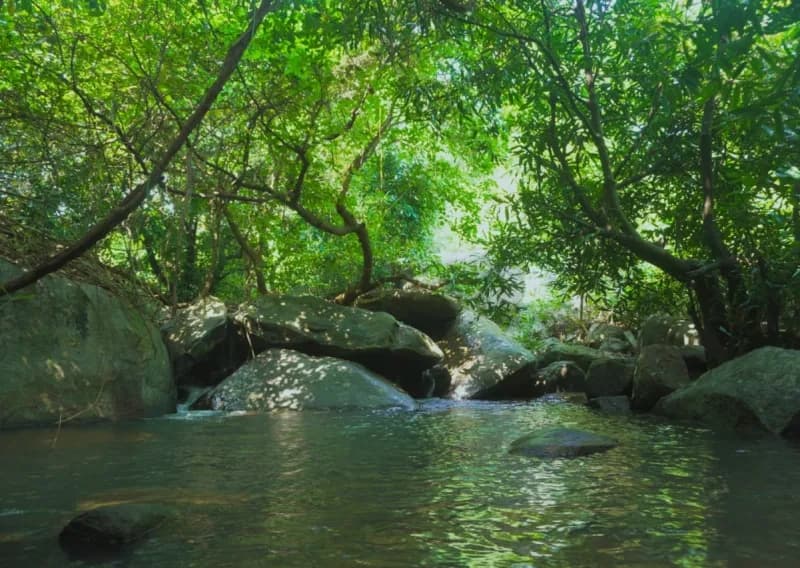 Natural beauty near Nilagiri eco stay