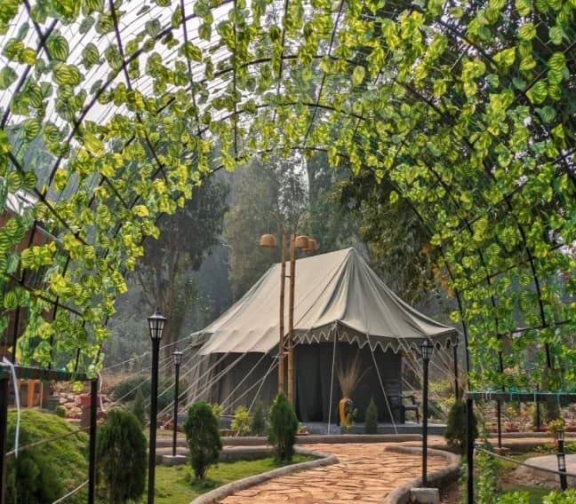 Similipal Eco Stay
