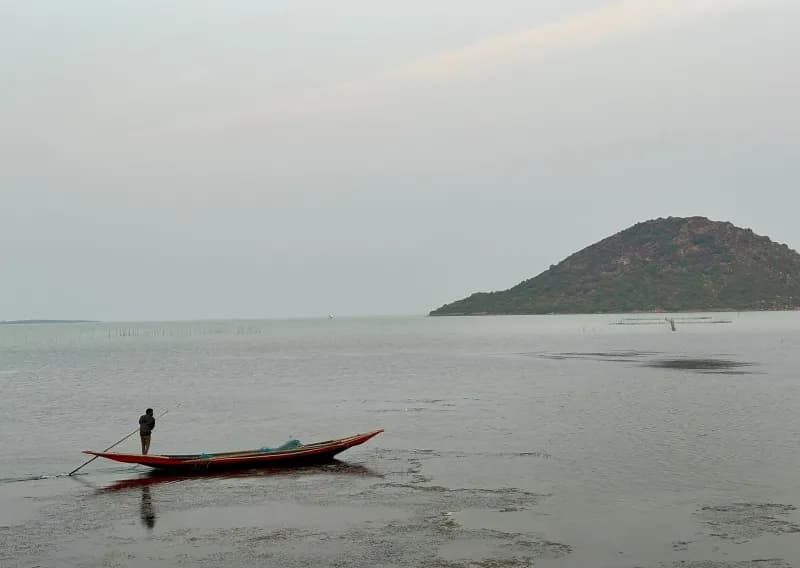 Chilika Guest Inn