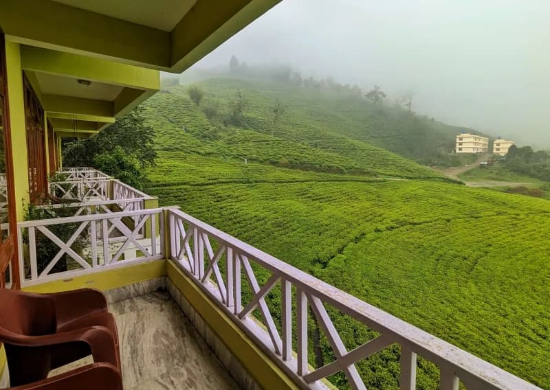 Tea Garden View from Temi Resort