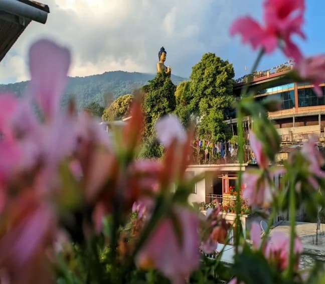Buddha Park View from Ravangla Homestay