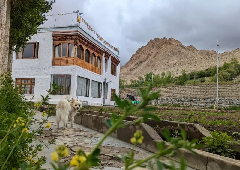 Leh Retreat Campus 