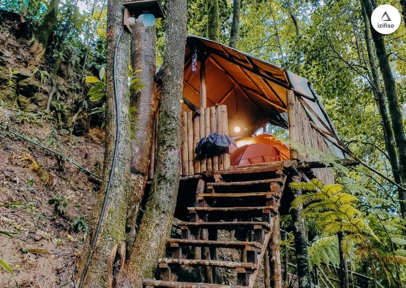 Kurseung Tree house tent, Tea Garden stay, Himalayan Camping 