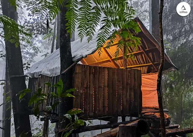 Kurseung Tree house tent, Tea Garden stay, Himalayan Camping 