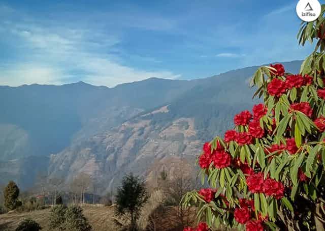 Okhrey Sikkim homestay Barsey, Hilley 